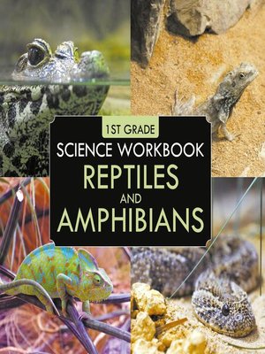 cover image of 1st Grade Science Workbook--Reptiles and Amphibians